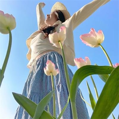 虎头钉虱